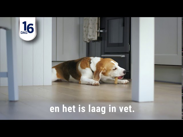 Purina: DentaLife Hond - Reinigt op natuurlijke wijze