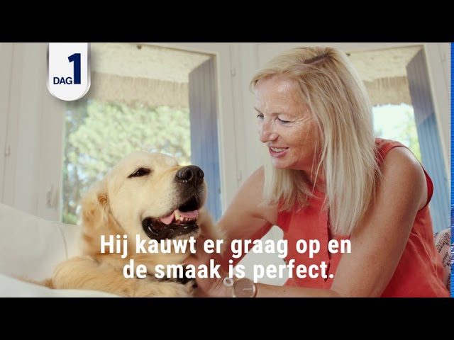 Purina: DentaLife Hond - Heerlijke receptuur