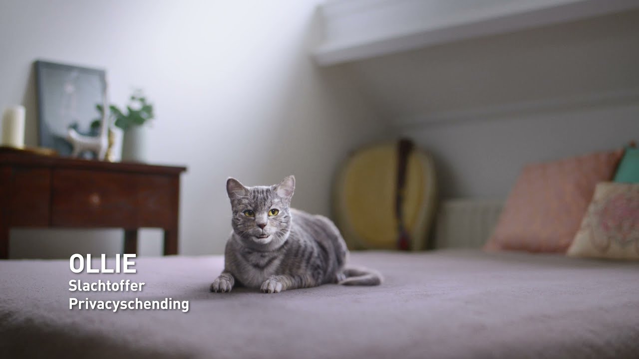 Rijksoverheid: Denk 2x na voor je iets deelt - Klapjeskat