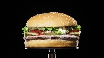 Burger King: Schimmelende Whopper