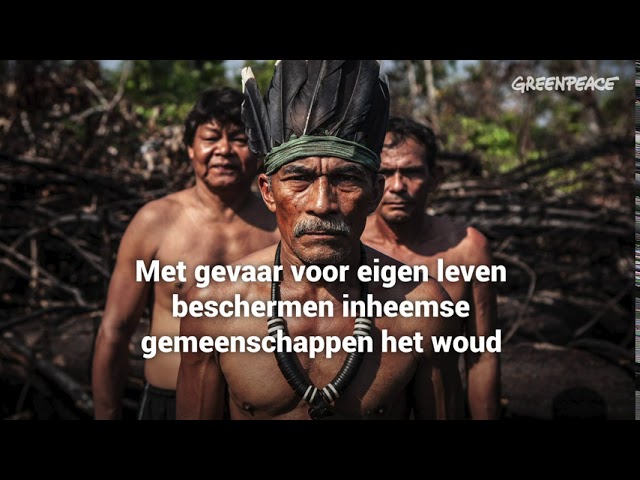 Greenpeace: Teken de petitie voor de Amazone
