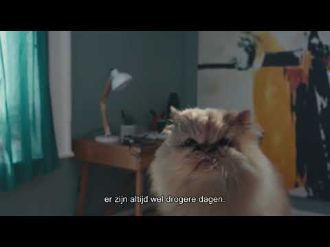 Durex: Natural glijmiddel
