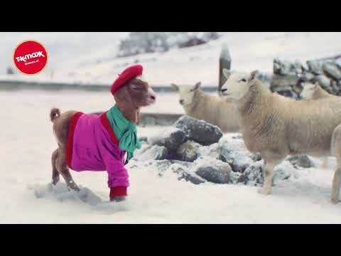 TK Maxx: Iedereen verdient het om zich speciaal te voelen dit jaar