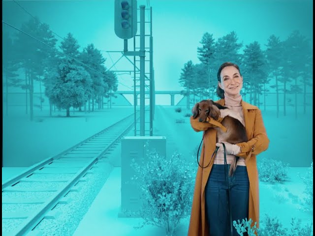ProRail: Spoorlopen heeft meer gevolgen dan je denkt! - hond uitlaten