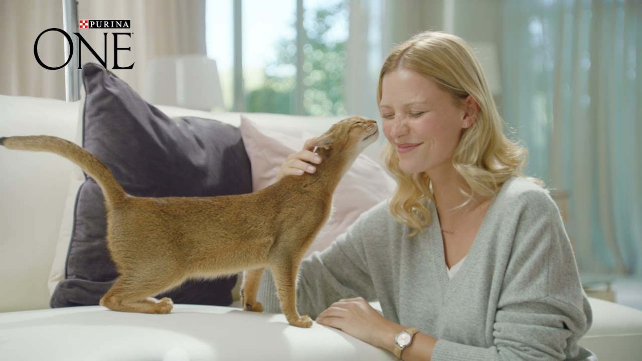 Purina: One- 21 Dagen test