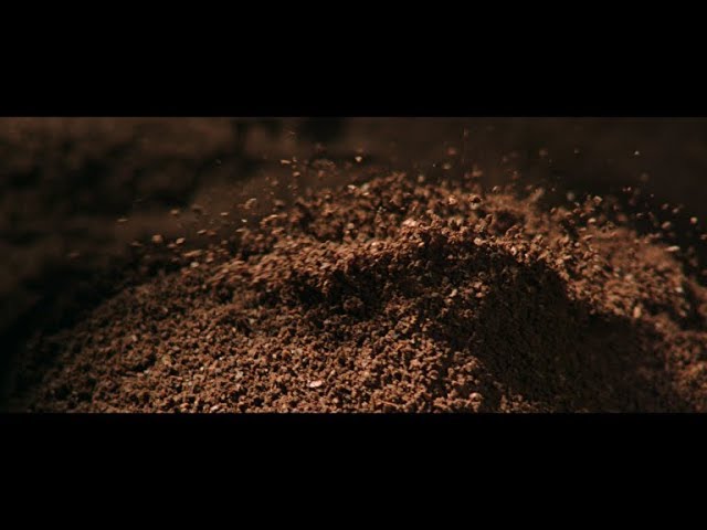 Douwe Egberts: De enige echte sinds 265 jaar