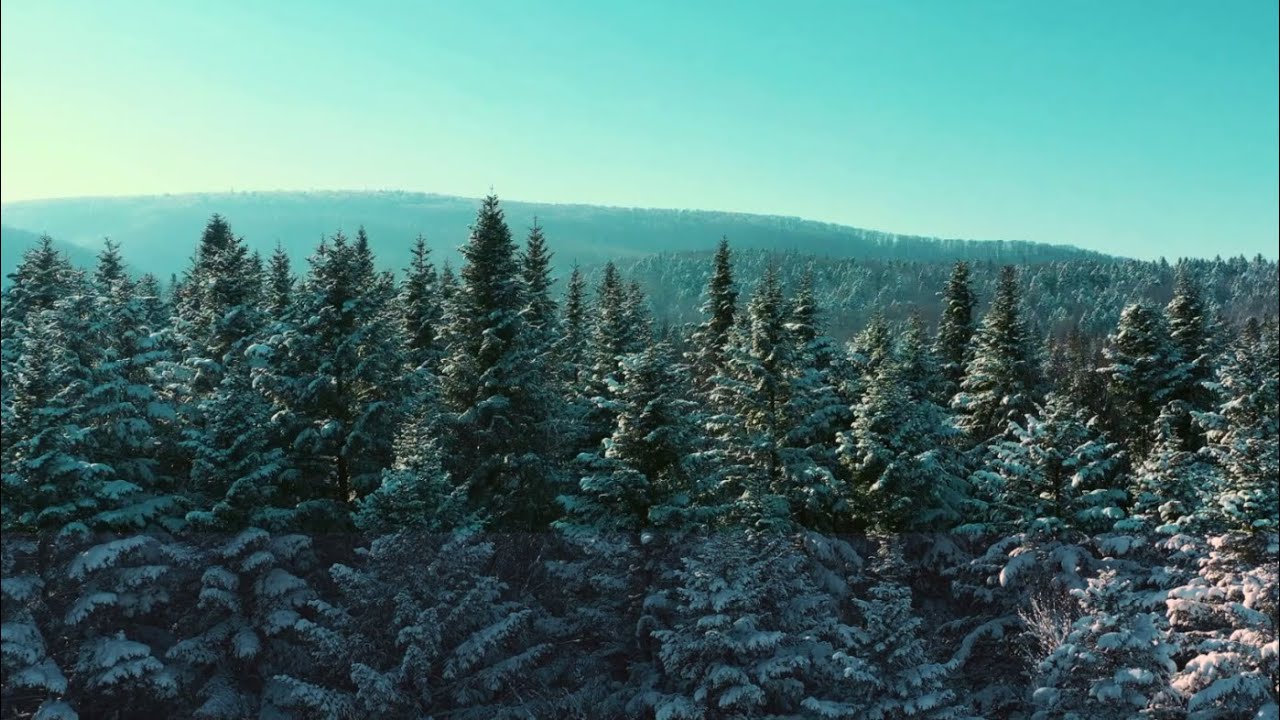 Jeep: Fijne Feestdagen - Op zoek naar de Kerstman