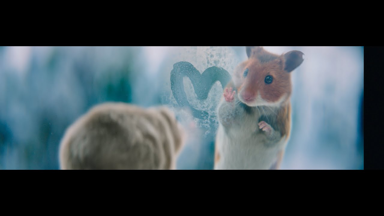 Albert Heijn: Kerstreclame - het kleinste grootste liefdesverhaal van het jaar