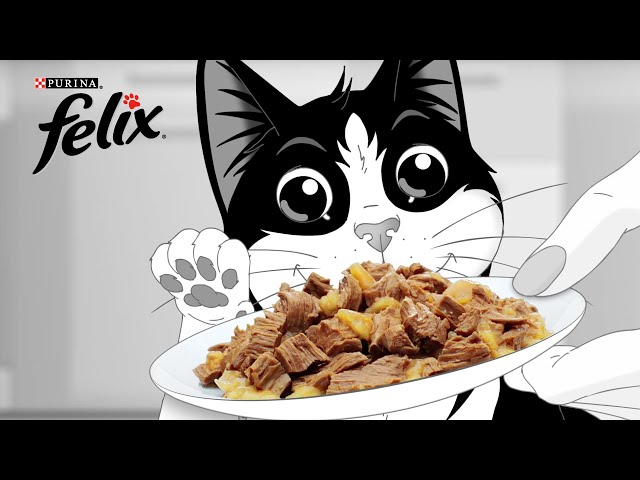 Felix: kenmerken van smaak - Onweerstaanbaar lekker