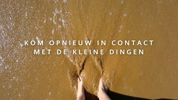 Huawei: Reconnect - Strand