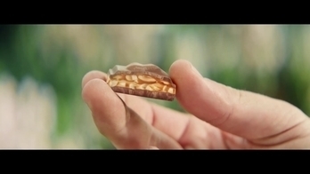 Milka: MMMax Cheesecake