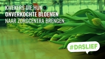 Sire: #Daslief - Kwekers die bloemen weggeven