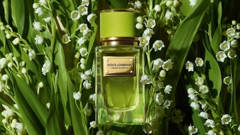 Dolce & Gabbana: Velvet Mughetto