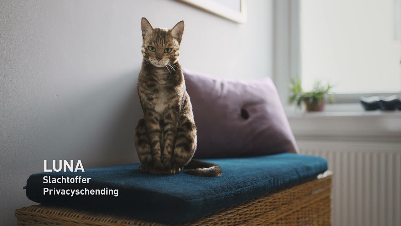 Rijksoverheid: Denk 2x na voor je iets deelt - Bello en het beest